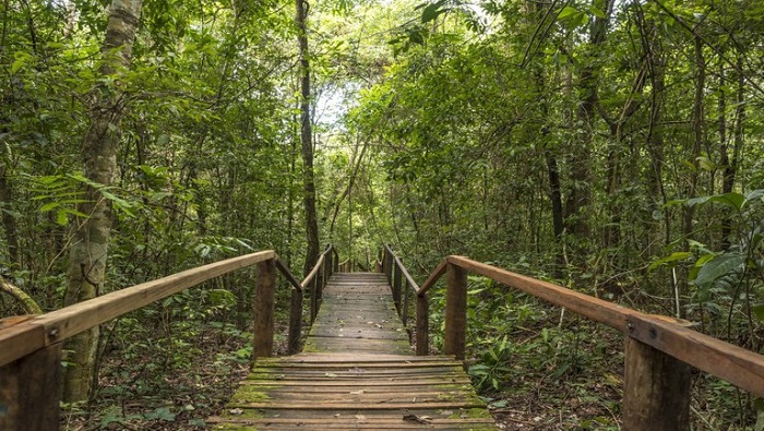 Mês de julho confirma aumento da procura por turismo de natureza, afirma Braztoa