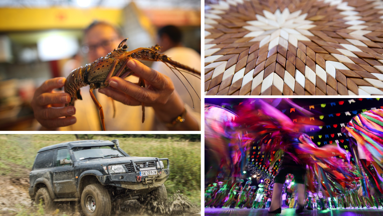 Novembro está recheado de eventos culturais, gastronômicos e esportivos em todo o Brasil