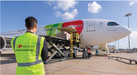 TAP Air Cargo quer reforçar liderança nas exportações aéreas brasileiras